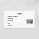 Pesquisar por trenó cartao de visita Cães