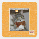 Pesquisar por don adesivos Eu posso ter cheezburger