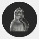 Pesquisar por macacos engraçados adesivos Arte