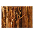 Pesquisar por árvore de cedro pôsteres Madeira