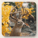 Pesquisar por veado selvagem porta copos Caçador