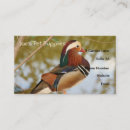 Pesquisar por pássaros exóticos cartao de visita Trópicos