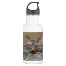 Pesquisar por gatinhos garrafa agua Doce