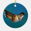 Pesquisar por colibri ceramica ornamentos Pássaro