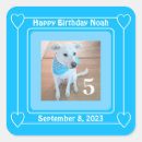 Pesquisar por número 5 adesivos Quinto