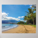 Pesquisar por hawaii pôsteres Palmeira