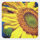 Pesquisar por inseto amarelo adesivos Verão