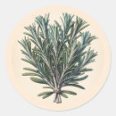 Pesquisar por bruxa vintage adesivos Bruxaria