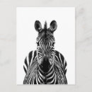Pesquisar por africanos cartoes postais Zebra