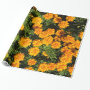 Pesquisar por cravo papel de presente Flores