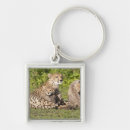 Pesquisar por africa chaveiros Tanzânia