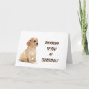 Pesquisar por dog walker cartoes Qualquer pessoa