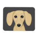 Pesquisar por salsichas imas Dachshund