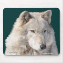 Pesquisar por mousemats For him