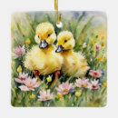 Pesquisar por patos selvagens ornamentos Patinho