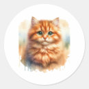 Pesquisar por gatinhos t adesivos Gatos pretos