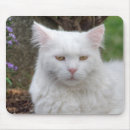Pesquisar por gato angora eletronicos Goma