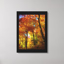 Pesquisar por árvores do outono impressão de canvas Foto