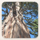 Pesquisar por brasil porta copos Paisagem