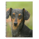 Pesquisar por filhote cachorro do dachshund de cadernos de notas Prumo e pam langrish