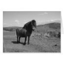Pesquisar por cavalo pequeno cartoes postais Branco