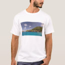 Pesquisar por virgin gorda camisetas Joe restuccia iii