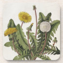 Pesquisar por gravuras porta copos Século