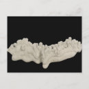 Pesquisar por ciências naturais cartoes postais Ciência natural