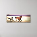 Pesquisar por éguas impressão de canvas Garanhão