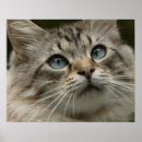 Pesquisar por boca humana pósteres pôsteres Fim acima