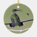 Pesquisar por colibri ceramica ornamentos Ornitologia