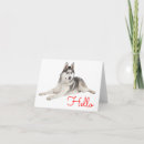 Pesquisar por husky cartoes Cães