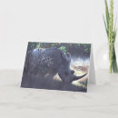 Pesquisar por rhinoceros cartoes Africa