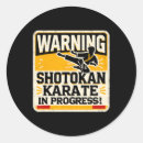 Pesquisar por martial arts adesivos Kung fu