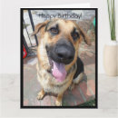 Pesquisar por german shepherd cartoes Pup