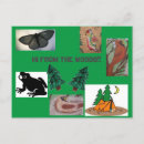 Pesquisar por o do acampamento cartoes postais Floresta