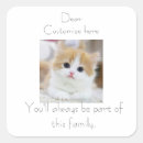 Pesquisar por família de gato For pets