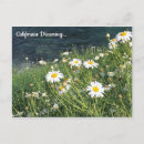 Pesquisar por california cartoes postais Praia