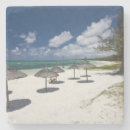 Pesquisar por oriental porta copos Árvore