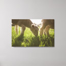 Pesquisar por crescimento impressão de canvas Animal