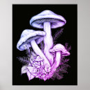 Pesquisar por cogumelo roxo pôsteres Fungos