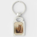 Pesquisar por alpacas chaveiros For her