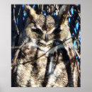 Pesquisar por pássaros majestosos pósteres pôsteres Vida selvagem