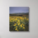 Pesquisar por meio ambiente impressão de canvas Paisagem