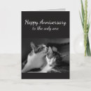 Pesquisar por funny anniversary cartoes Cute