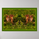 Pesquisar por dos animais selvagens pósteres pôsteres For her