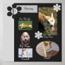 Pesquisar por scrapbooking pôsteres Álbum de recortes