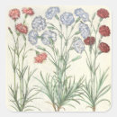 Pesquisar por cravos adesivos Botânica