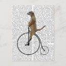 Pesquisar por cartoes postais Contemporâneo