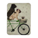 Pesquisar por filhote de cachorro imas Cães